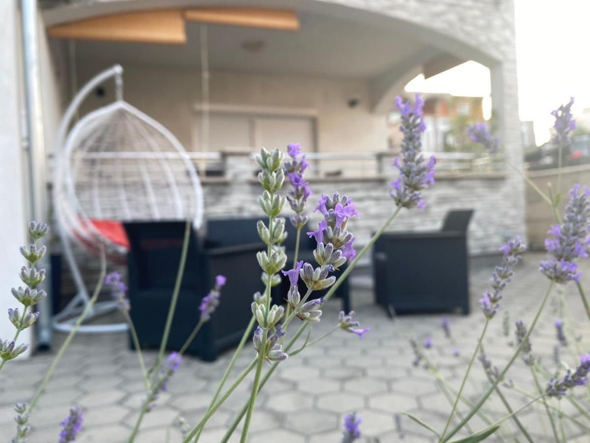 Apartment Tina 罗戈兹尼察 外观 照片
