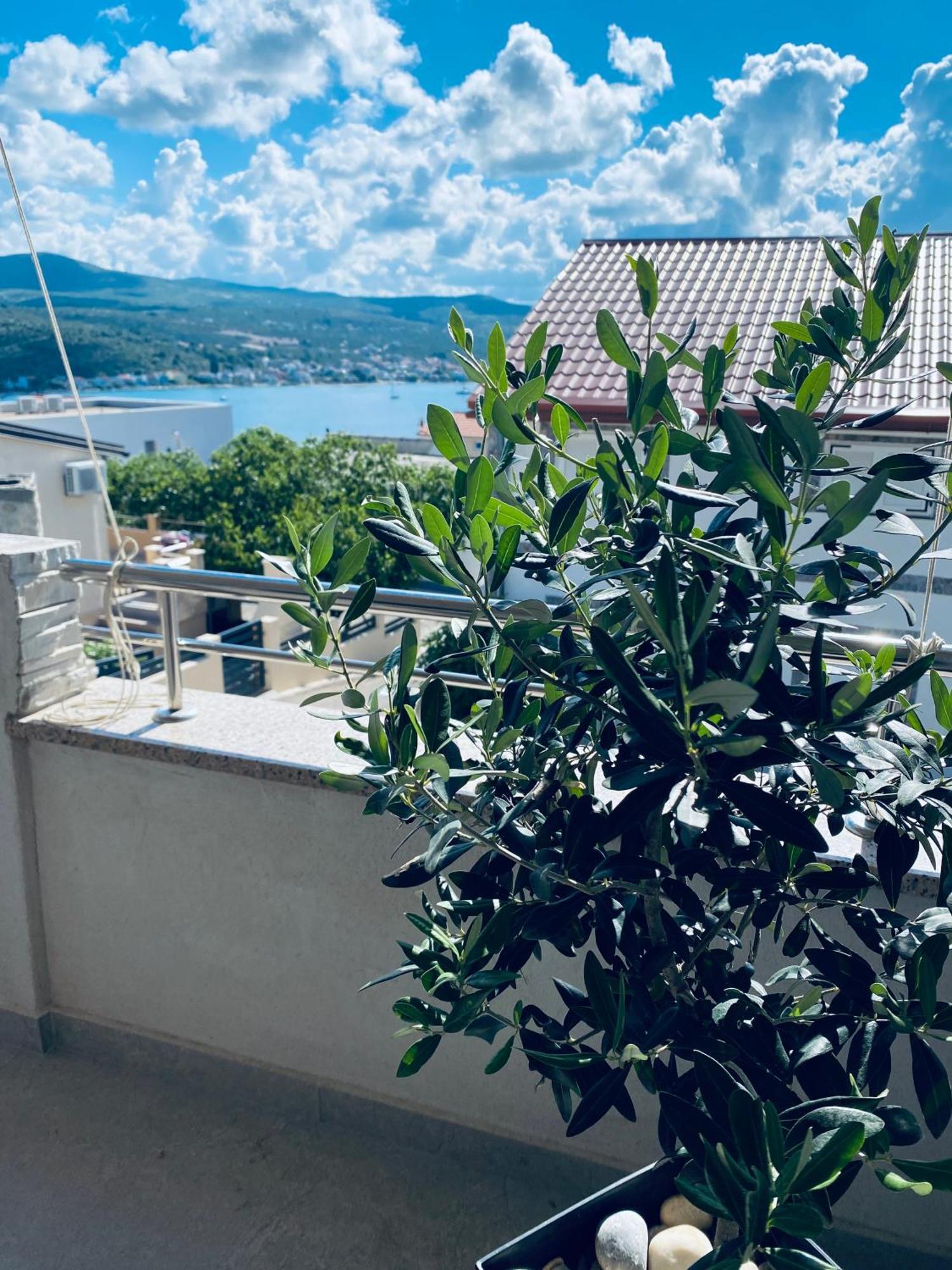 Apartment Tina 罗戈兹尼察 外观 照片