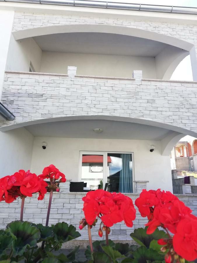 Apartment Tina 罗戈兹尼察 外观 照片